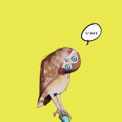 ../lib/images/bird_avatar_400x400.jpg